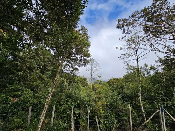 Lote Plano de 1.000 m² con Pozo y Vista al Irazú en Cartago