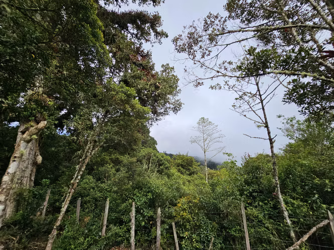 Lote Plano de 1.000 m² con Pozo y Vista al Irazú en Cartago