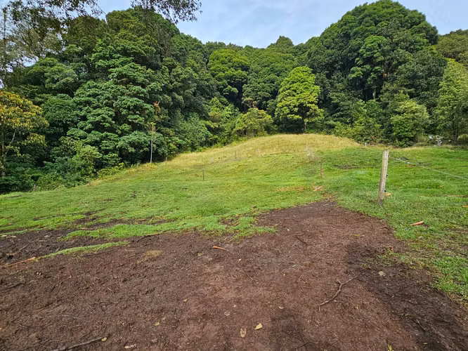 Finca de 17.800 m² con Nacientes y Bosque en Dota San José