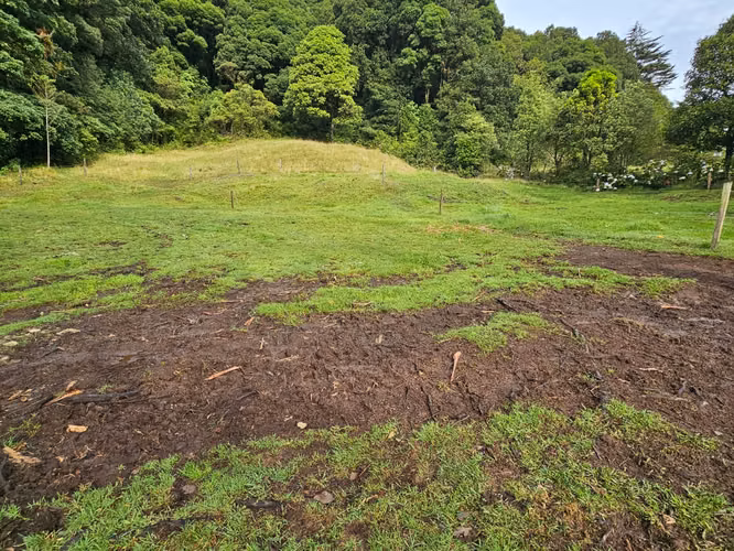 Finca de 17.800 m² con Nacientes y Bosque en Dota San José