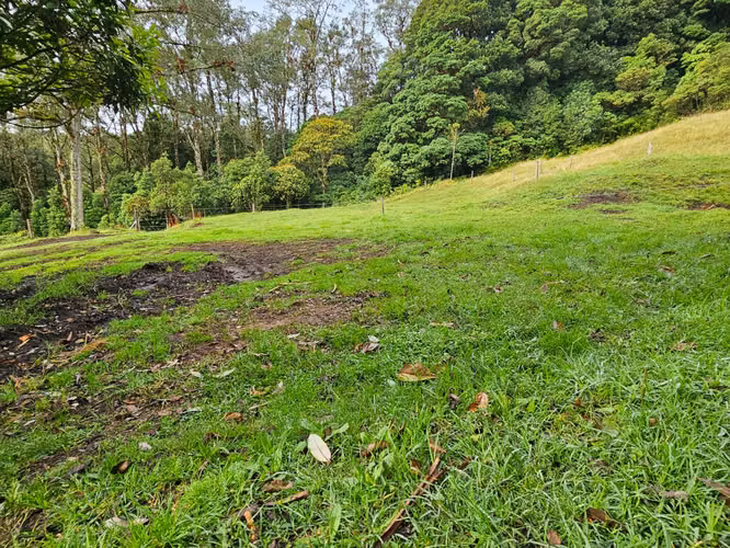 Finca de 17.800 m² con Nacientes y Bosque en Dota San José