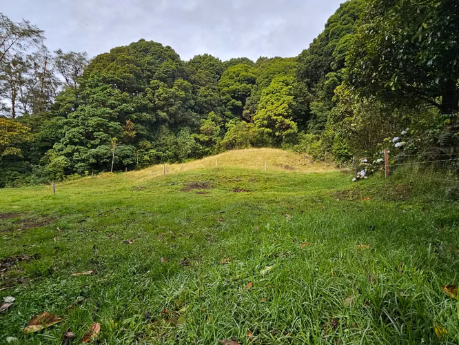 Finca de 17.800 m² con Nacientes y Bosque en Dota San José