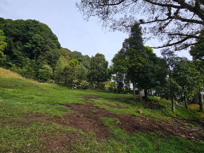Finca de 17.800 m² con Nacientes y Bosque en Dota San José