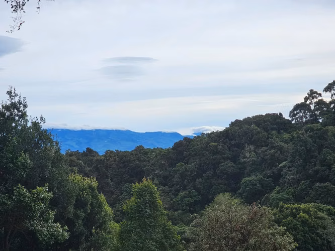 Finca de 17.800 m² con Nacientes y Bosque en Dota San José