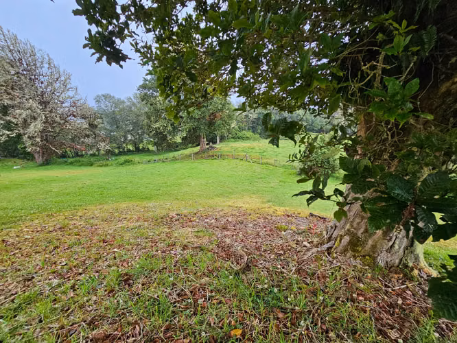 EXCLUSIVA QUINTA EN VENTA – CAÑÓN DEL GUARCO, CARTAGO - Imagen 2