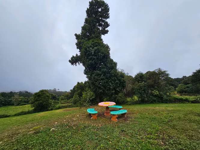 EXCLUSIVA QUINTA EN VENTA – CAÑÓN DEL GUARCO, CARTAGO - Imagen 9