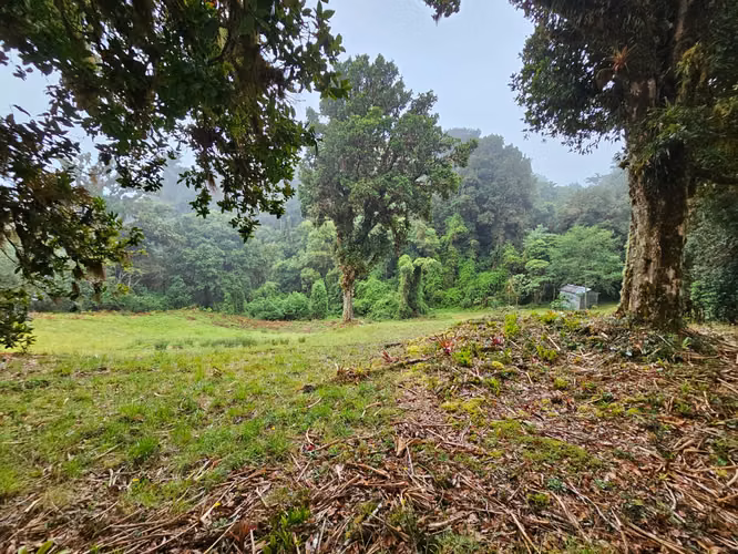  EXCLUSIVA QUINTA EN VENTA – 14.200 m² EN CAÑÓN DEL GUARCO, CARTAGO - Imagen 16