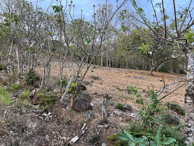 Quinta en Venta San Miguel Puntarenas | 4,000 m² | Vista al Golfo - Imagen 6