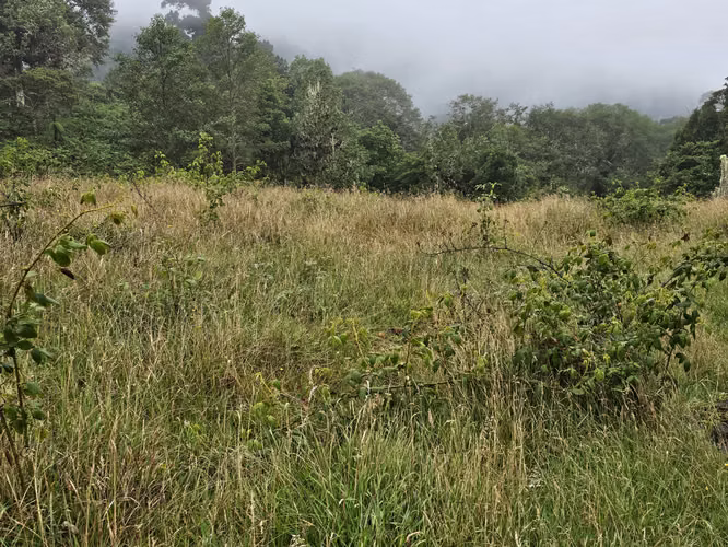 Venta de Hermoso Terreno en Cañón del Guarco | 1.200 m² | Clima Fresco y Excelente Ubicación