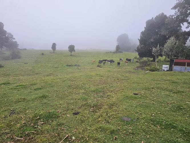 Venta de terreno en Cañón del Guarco | 52.000 m² | Desde 5.000 m²