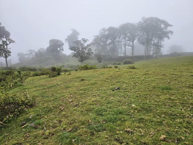 Venta de terreno en Cañón del Guarco | 52.000 m² | Desde 5.000 m²