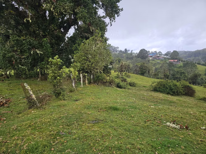 Venta de terreno en Cañón del Guarco | 52.000 m² | Desde 5.000 m²