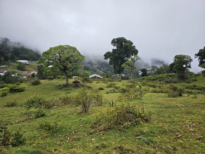 Venta de terreno en Cañón del Guarco | 52.000 m² | Desde 5.000 m²