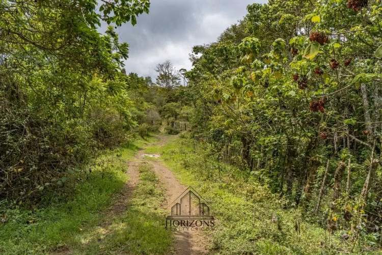 Casa de Montaña en Venta en Coronado, San José – Rodeada de Naturaleza NJA601