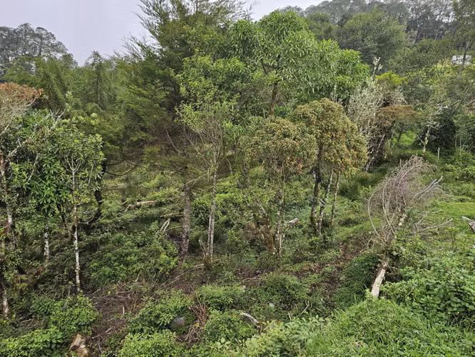 Lote de 1.000 m² en Cañón del Guarco Cerca de Escuela - Imagen 13