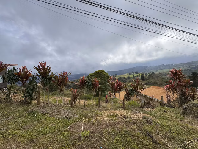 Lote Habitacional en Venta en Santa Cruz de Turrialba ID6069
