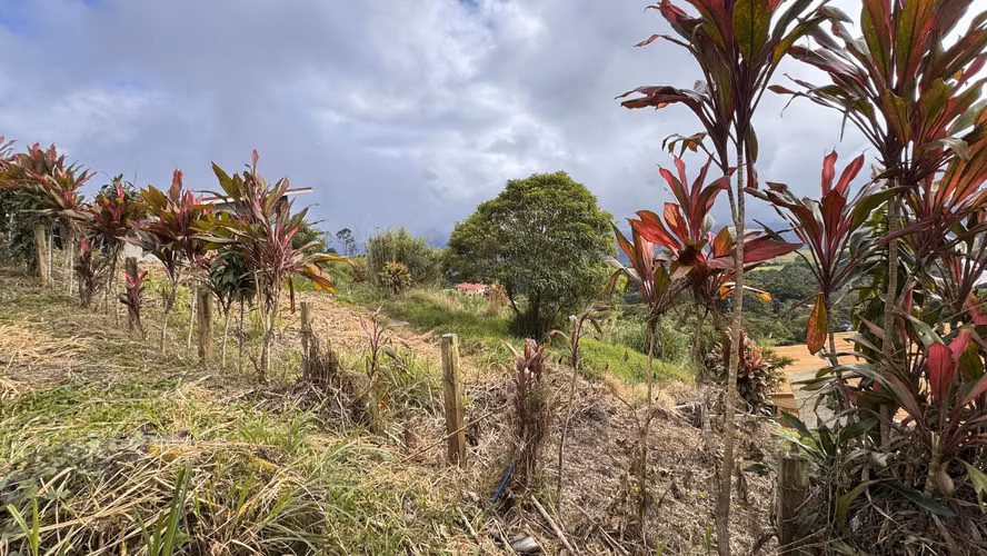Lote Habitacional en Venta en Santa Cruz de Turrialba ID6069