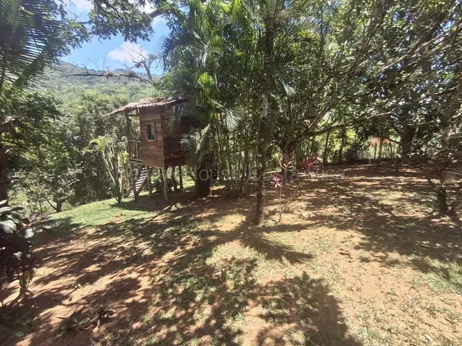 Venta de Casa y Terreno Totalmente Amueblado en Acosta-Guaitil, San José.  26-1881 LCV - Imagen 13