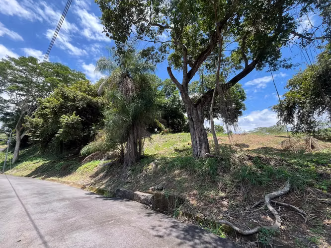 Terreno en venta Orotina
