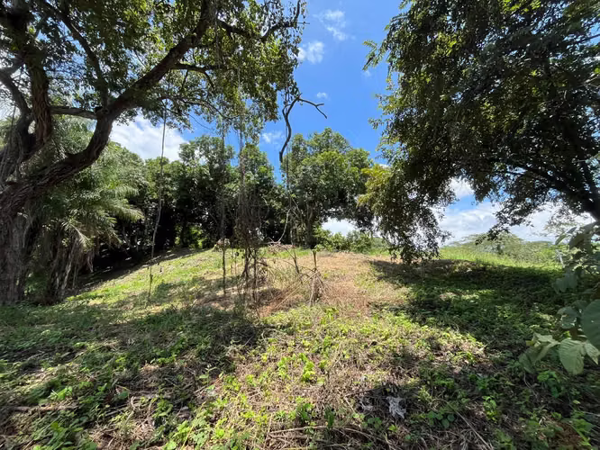 Terreno en venta Orotina - Imagen 4