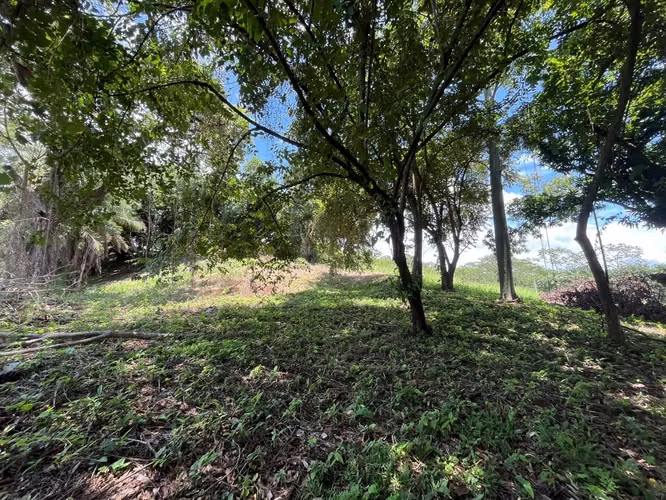 Terreno en venta Orotina - Imagen 3