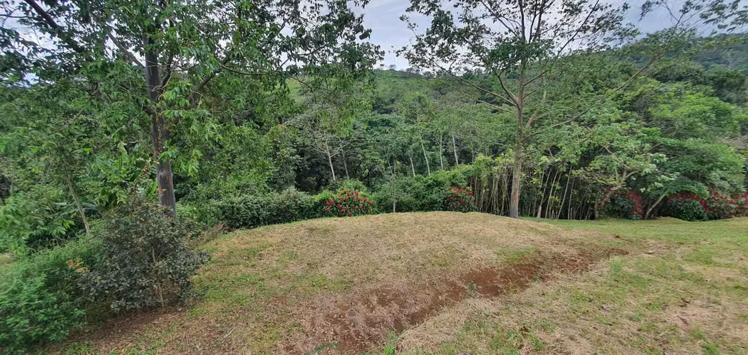 Lote Premium 1.039 m2 | Hacienda Natura | Hermosas Vistas al Valle y la Montaña