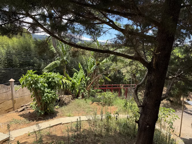 Vendo casa y apartamento en Birri Santa Barbára, por Hotel Monte Campana, con zonas verdes - Imagen 5