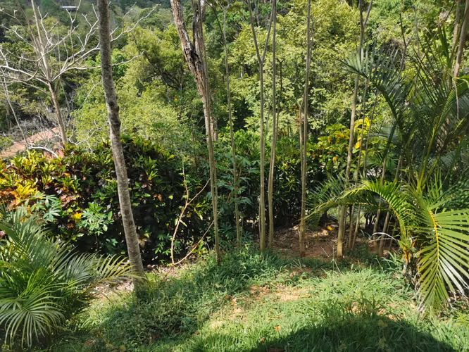 Venta de Casa con amplio Terreno Acosta