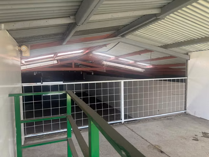  ALQUILER DE AMPLIA BODEGA EN CIRUELAS DE ALAJUELA  - Imagen 3