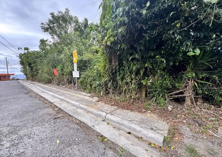 Venta de Lote uso Industrial en La Trinidad de Moravia