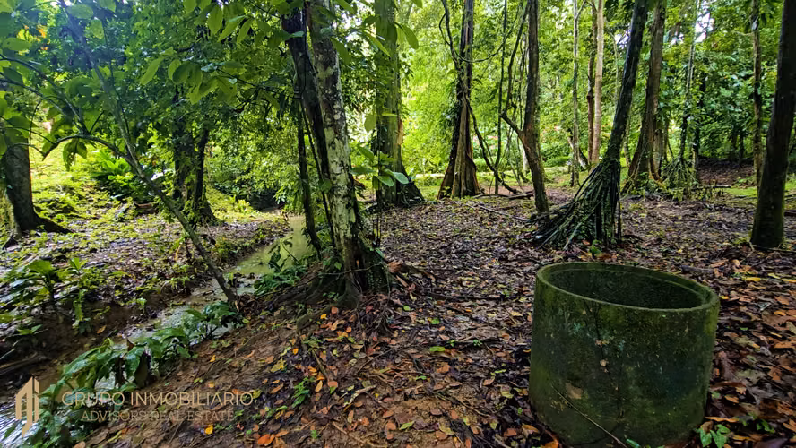 Selva Encantada: Finca Privada de 4.34 Ha en el Caribe Sur – Agua, Luz y Terrazas Listas- 9