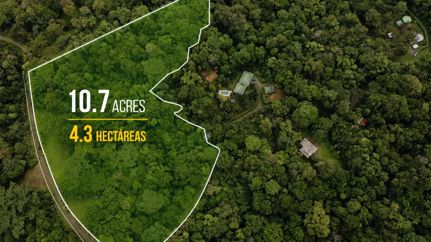 Selva Encantada: Finca Privada de 4.34 Ha en el Caribe Sur – Agua, Luz y Terrazas Listas- 9