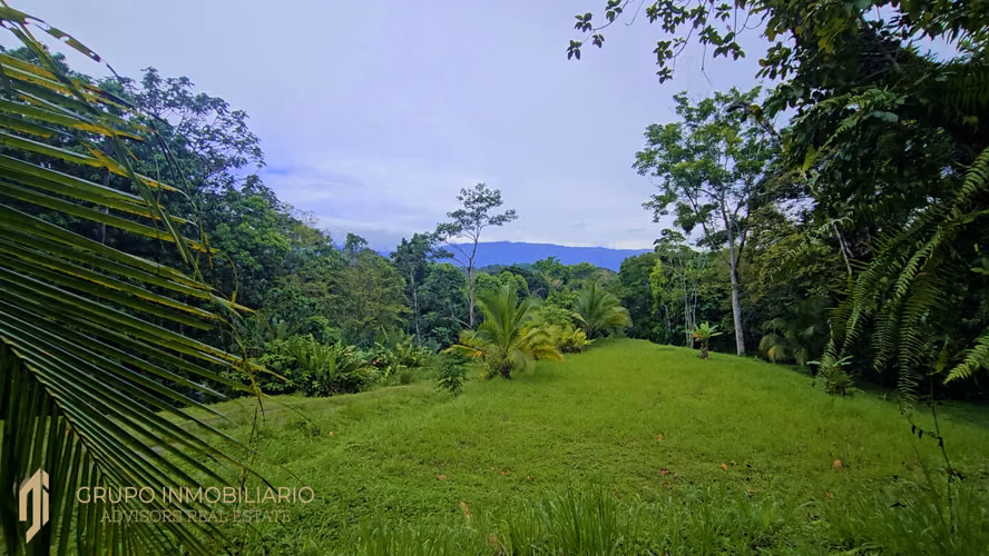 Selva Encantada: Finca Privada de 4.34 Ha en el Caribe Sur – Agua, Luz y Terrazas Listas- 9