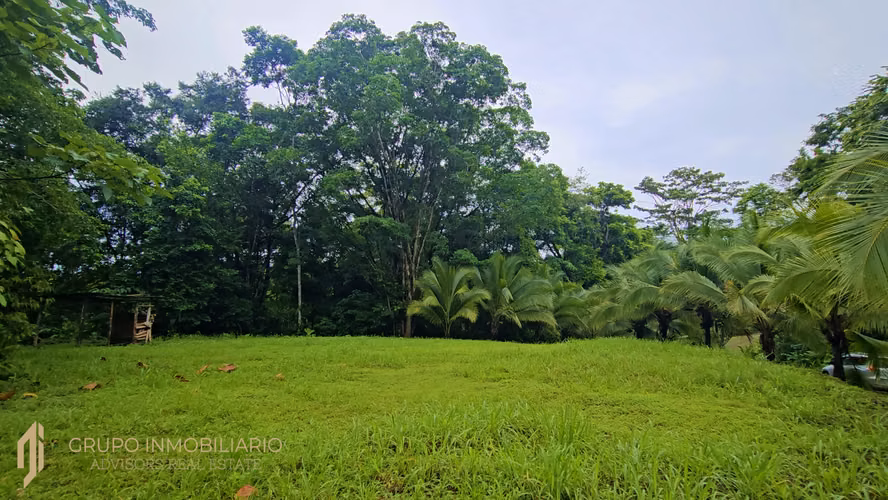 Selva Encantada: Finca Privada de 4.34 Ha en el Caribe Sur – Agua, Luz y Terrazas Listas- 9