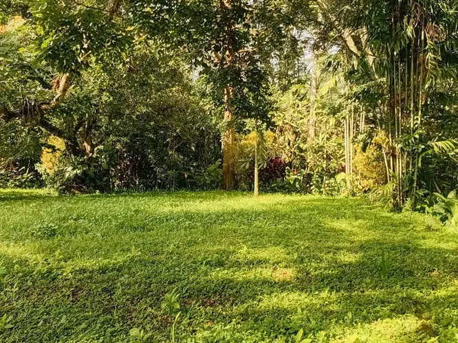 Finca Privada de 15 Acres con Casa de Huéspedes y Bosque Tropical en Venta en Puriscal 27052 - Imagen 15