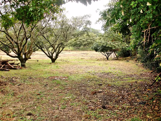 Lote Industrial 8.545m² en El Coyol | Uso de Suelo Industrial Aprobado