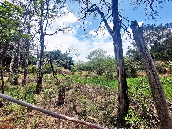 Lote Industrial 8.545m² en El Coyol | Uso de Suelo Industrial Aprobado