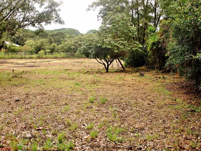 Lote Industrial 8.545m² en El Coyol | Uso de Suelo Industrial Aprobado