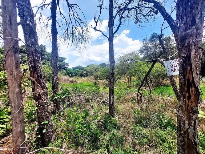 Lote Industrial 8.545m² en El Coyol | Uso de Suelo Industrial Aprobado