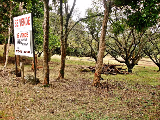 Lote Industrial 8.545m² en El Coyol | Uso de Suelo Industrial Aprobado