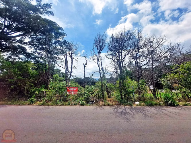 Lote Industrial 8.545m² en El Coyol | Uso de Suelo Industrial Aprobado