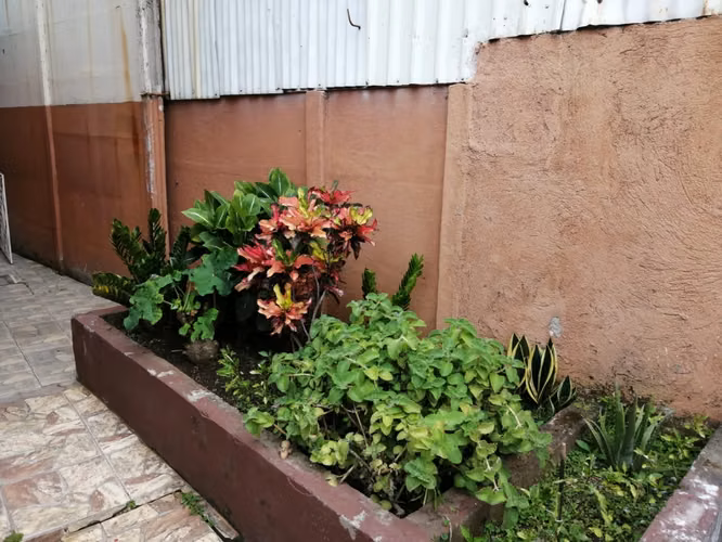 Venta de Casa Barrio San José Alajuela - Imagen 9