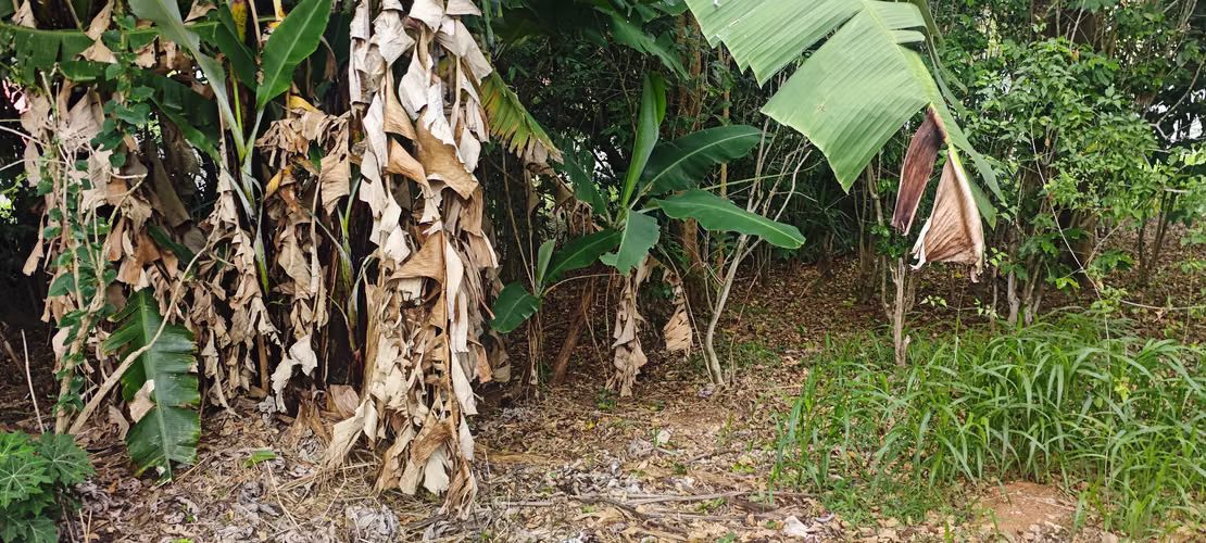 Lote en Venta Desamparados - RA