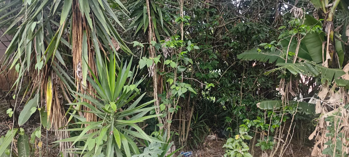 Lote en Venta Desamparados - RA