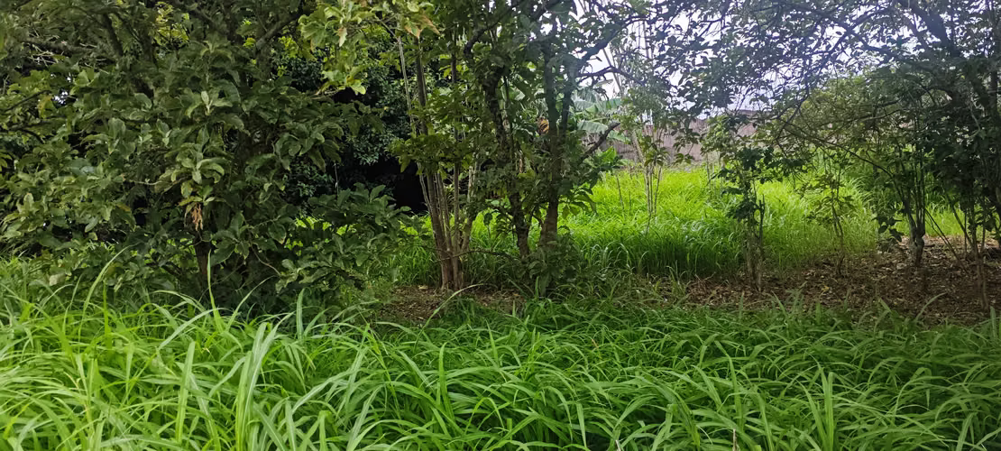 Lote en Venta Desamparados - RA
