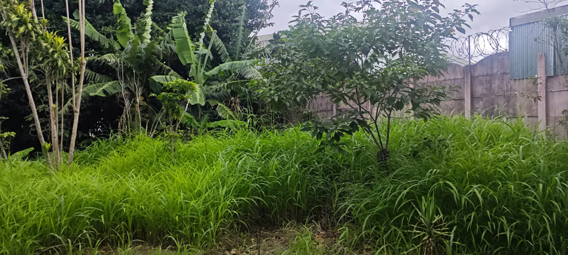 Lote en Venta Desamparados - RA