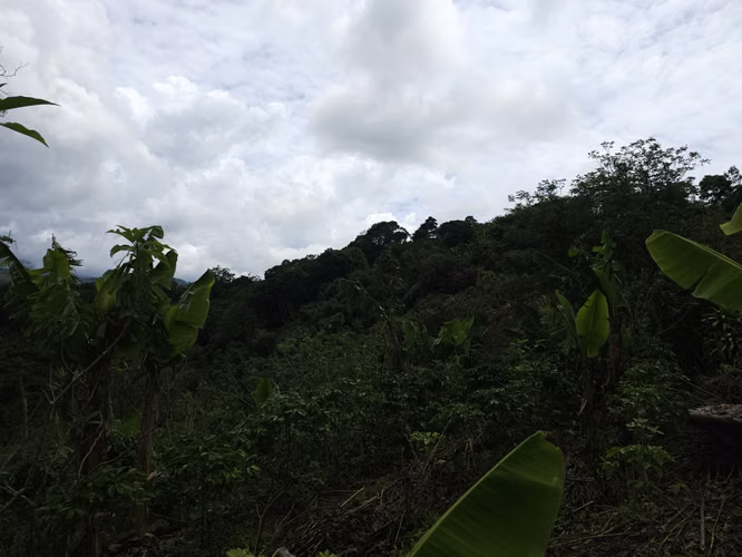 Lote en Corralillo con Uso de Suelo y Vistas Panorámicas