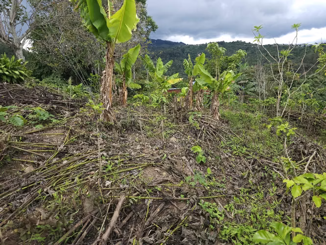 Lote en Corralillo con Uso de Suelo y Vistas Panorámicas