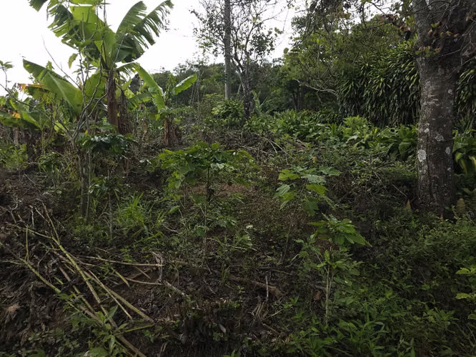 Lote en Corralillo con Uso de Suelo y Vistas Panorámicas