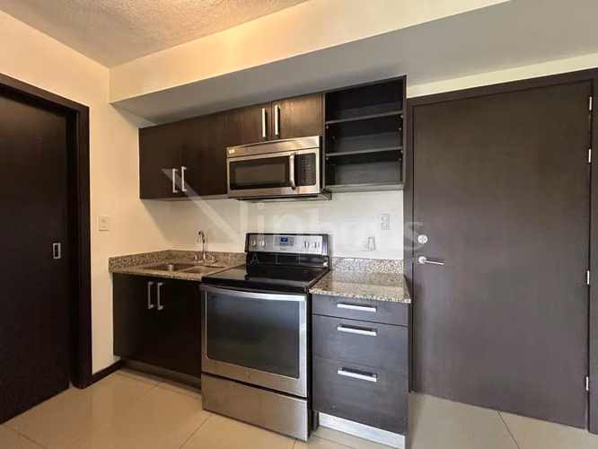 Alquiler de apartamento en primera planta con jardín